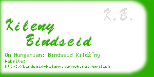 kileny bindseid business card